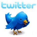 Twitter bird logo